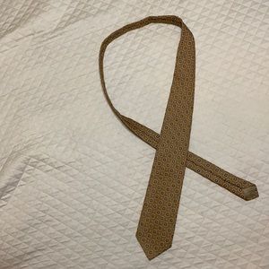 Ermenegildo zegna tie